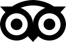 Tripadvisor_Ollie_CMYK_Pine_For_Light_Background