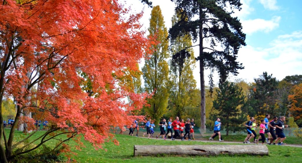 A wooded half-marathon in the colours of autumn