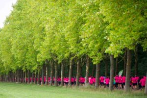 The beautiful paths of the Bois de Vincennes