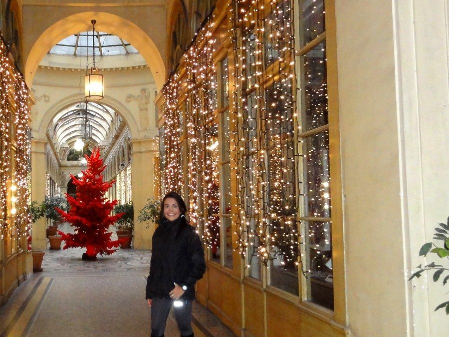 A sports and cultural tour of Paris with Ingrid at Christmas