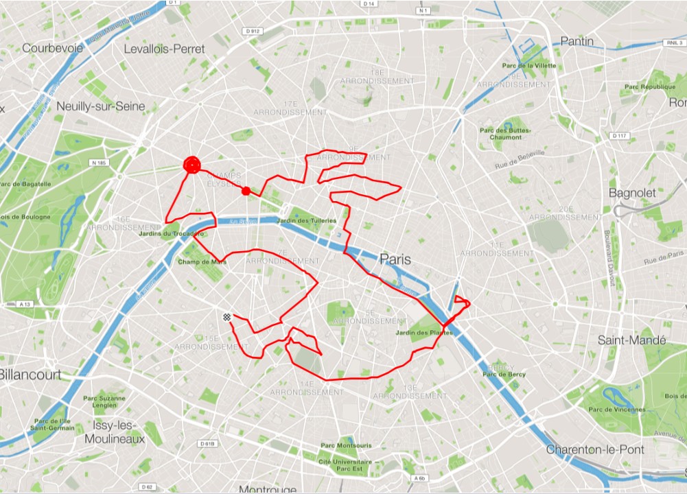 We found a cute little dog in Paris! | Paris Running Tours (English)